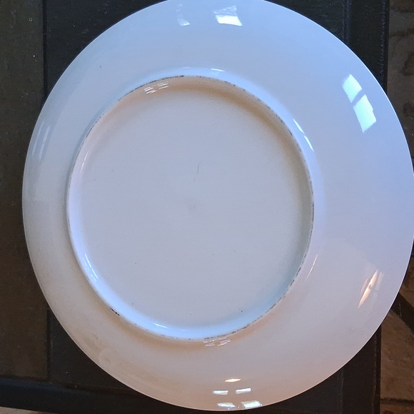 CHIEF RUNNING WATER PLATE - Picture 2 of 5